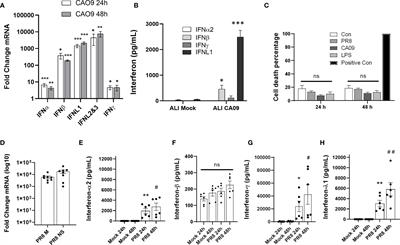Interferon Lambda Signaling in Macrophages Is Necessary for the Antiviral Response to Influenza